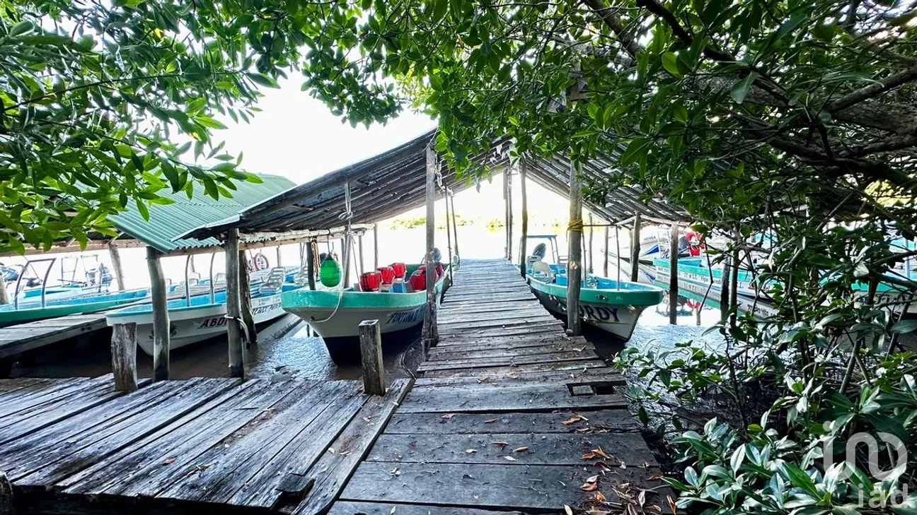 Casa en Venta en Javier Rojo Gómez (Punta Allen), Tulum, Quintana Roo | NEX-276564 | iad México | Foto 23 de 24