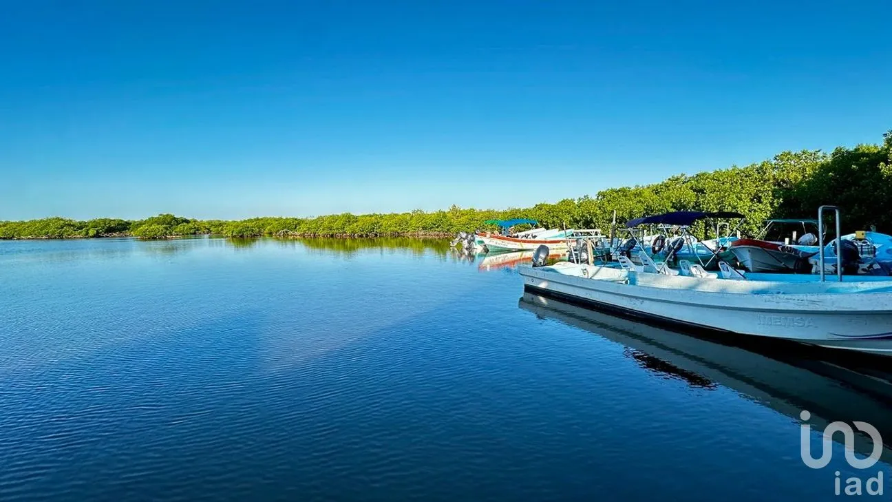 Casa en Venta en Javier Rojo Gómez (Punta Allen), Tulum, Quintana Roo | NEX-276564 | iad México | Foto 24 de 24
