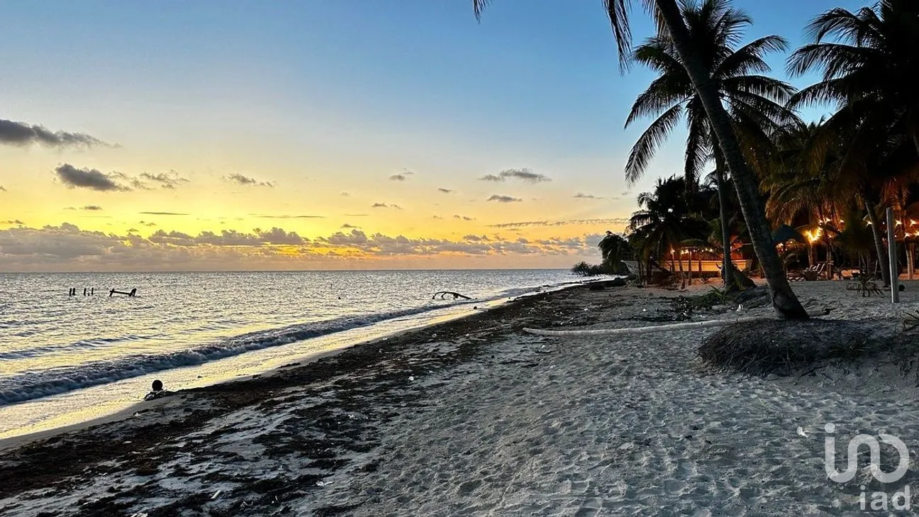 Casa en Venta en Javier Rojo Gómez (Punta Allen), Tulum, Quintana Roo | NEX-276564 | iad México | Foto 1 de 24