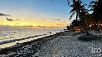 NEX-276564 - Casa en Venta, con 8 recamaras, con 8 baños, con 127.68 m2 de construcción en Javier Rojo Gómez (Punta Allen), CP 77768, Quintana Roo.