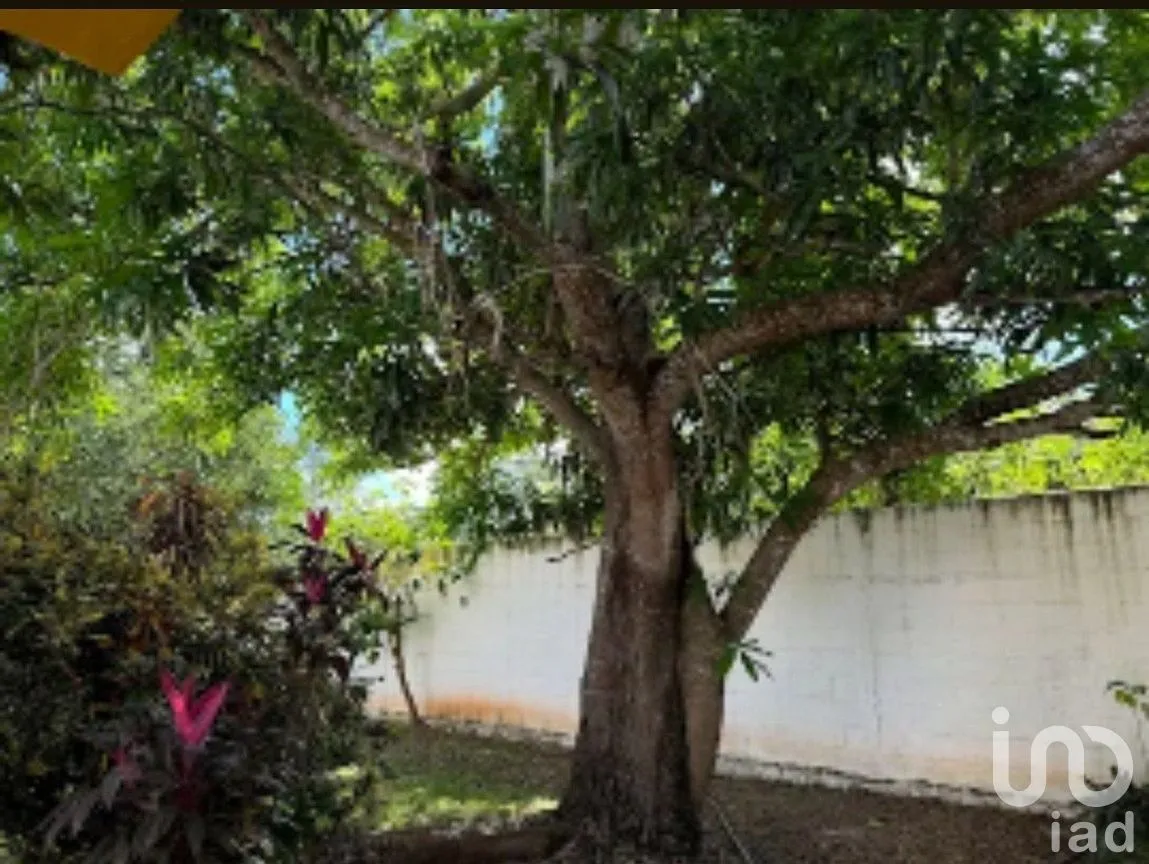 Casa en Venta en Dzityá, Mérida, Yucatán | NEX-288103 | iad México | Foto 15 de 17