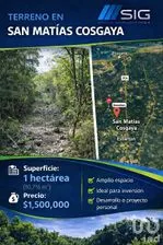 NEX-292439 - Terreno en Venta en Cosgaya, CP 97303, Yucatán.