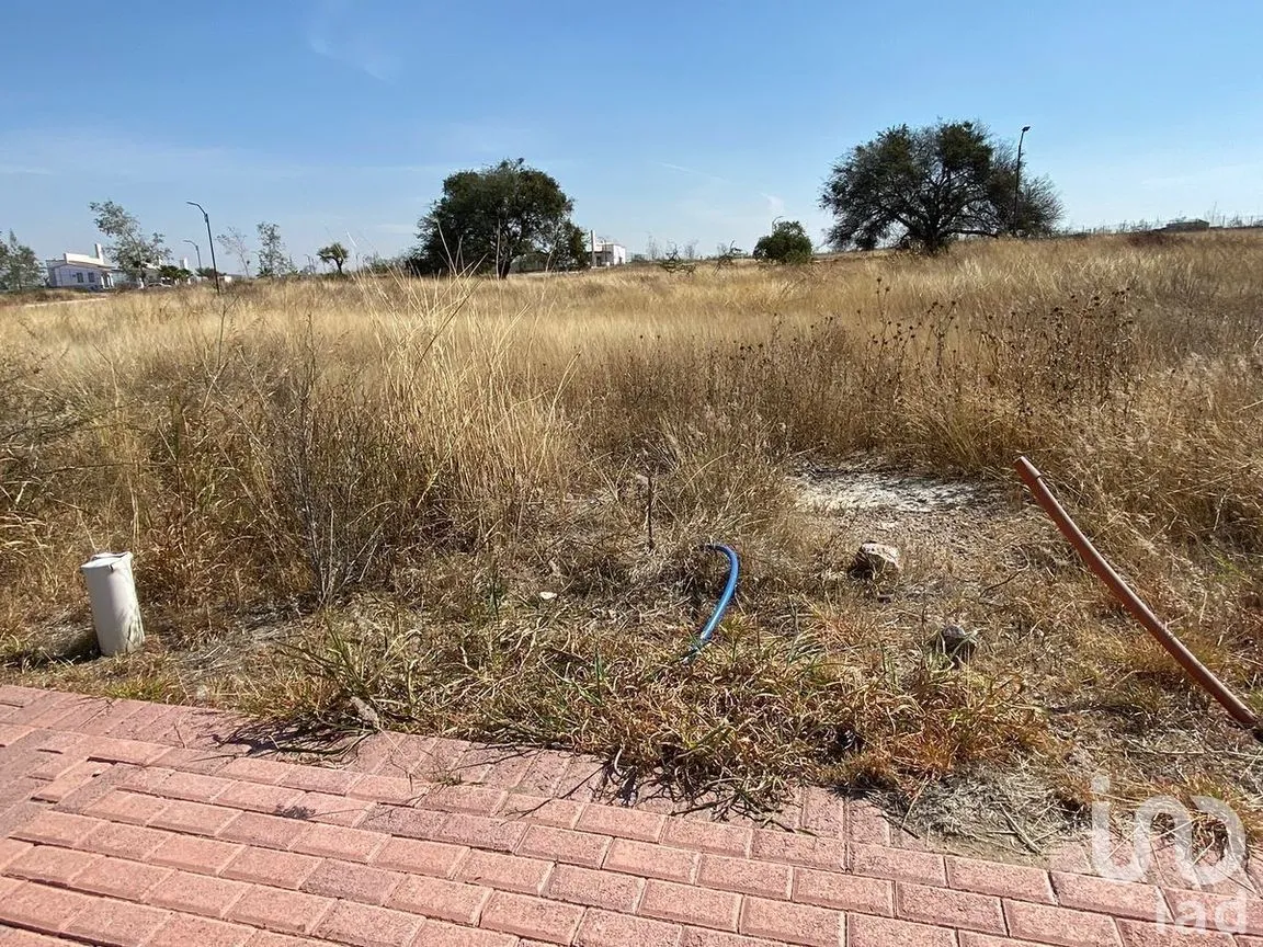 Terreno en Venta en Sierra Papacal, Mérida, Yucatán | NEX-270647 | iad México | Foto 5 de 7