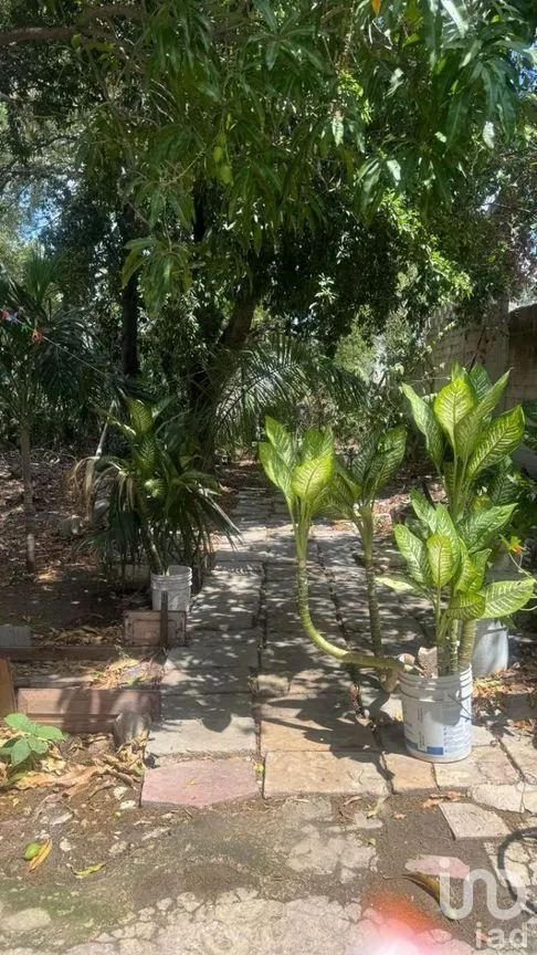 Casa en Venta en Jacinto Canek, Mérida, Yucatán | NEX-270664 | iad México | Foto 18 de 18