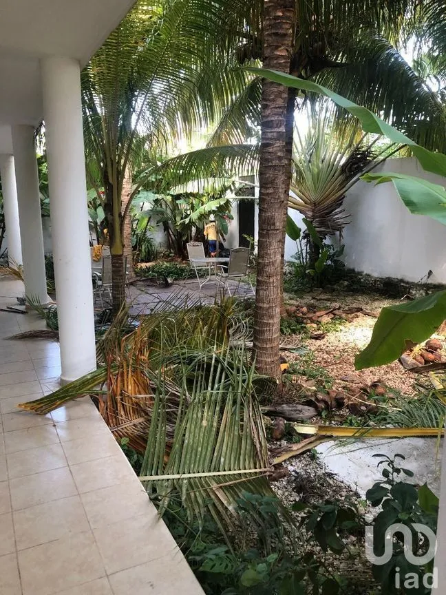 Departamento en Renta en Benito Juárez Nte, Mérida, Yucatán | NEX-270665 | iad México | Foto 14 de 14