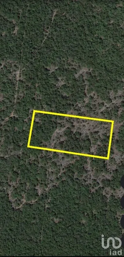 Terreno en Venta en Sierra Papacal, Mérida, Yucatán | NEX-270666 | iad México | Foto 3 de 6