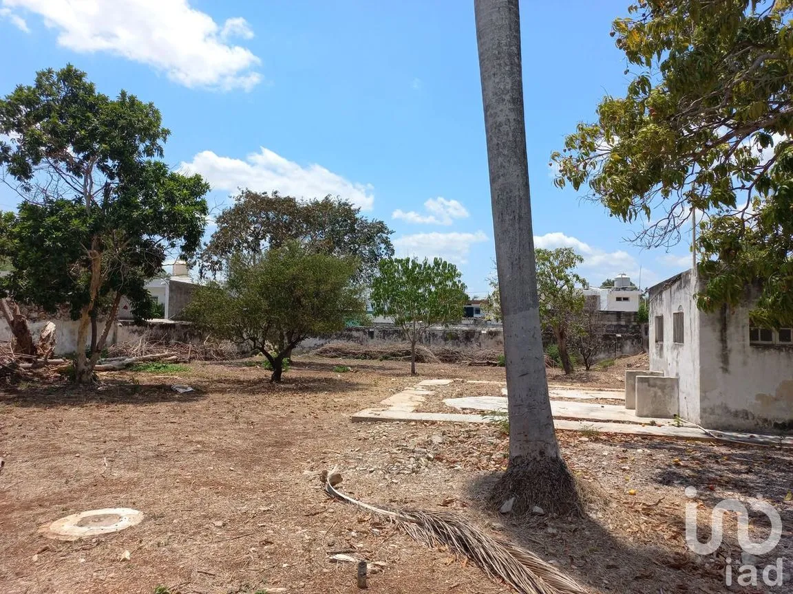 Terreno en Venta en Garcia Gineres, Mérida, Yucatán | NEX-270746 | iad México | Foto 7 de 13