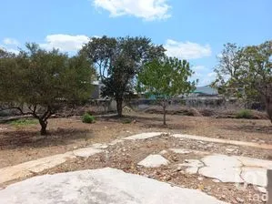 NEX-270746 - Terreno en Venta en Garcia Gineres, CP 97070, Yucatán.