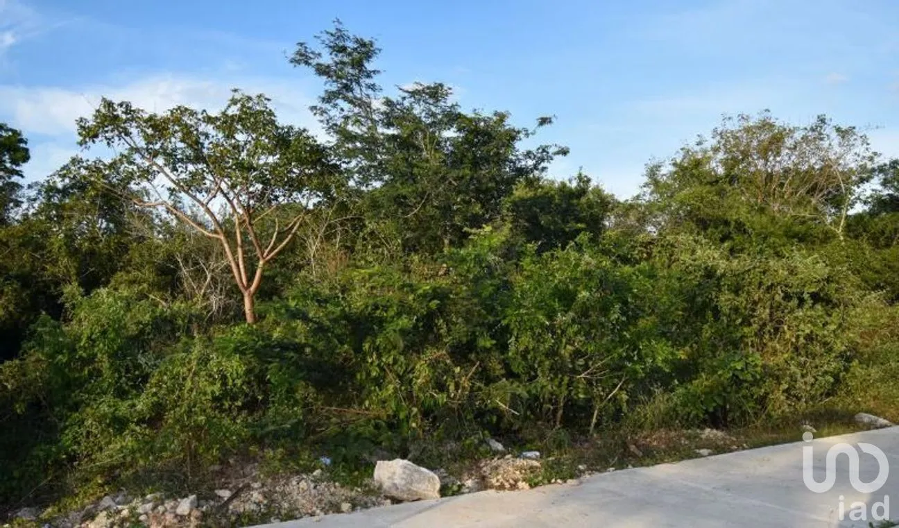 Terreno en Venta en Yucatán Country Club, Mérida, Yucatán | NEX-270796 | iad México | Foto 2 de 5