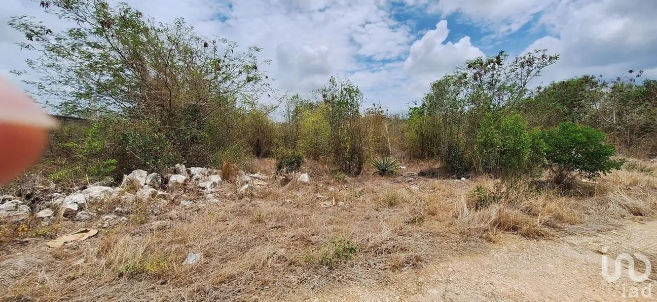 Terreno en Venta en Dzityá, Mérida, Yucatán | NEX-270851 | iad México | Foto 3 de 9