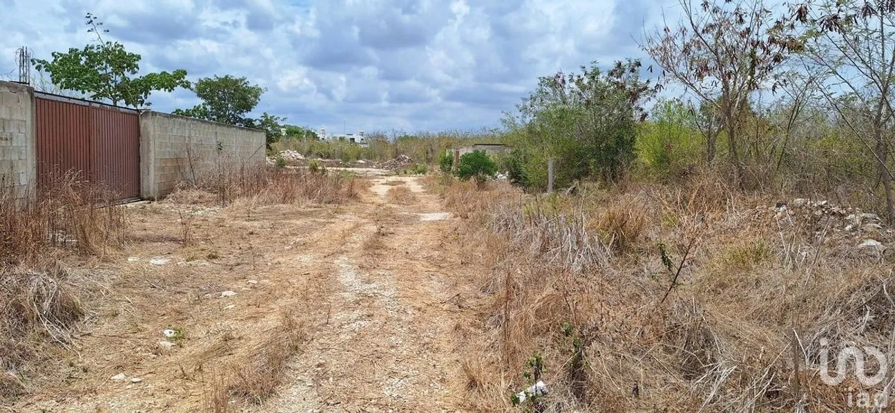 Terreno en Venta en Dzityá, Mérida, Yucatán | NEX-270851 | iad México | Foto 4 de 9