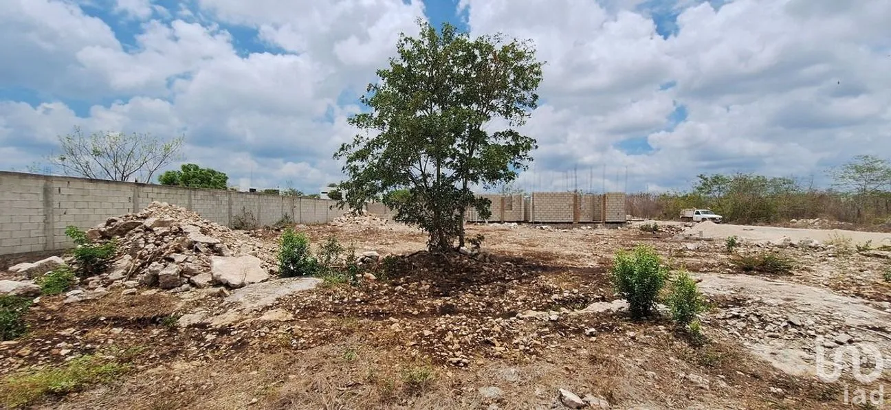 Terreno en Venta en Dzityá, Mérida, Yucatán | NEX-270851 | iad México | Foto 6 de 9