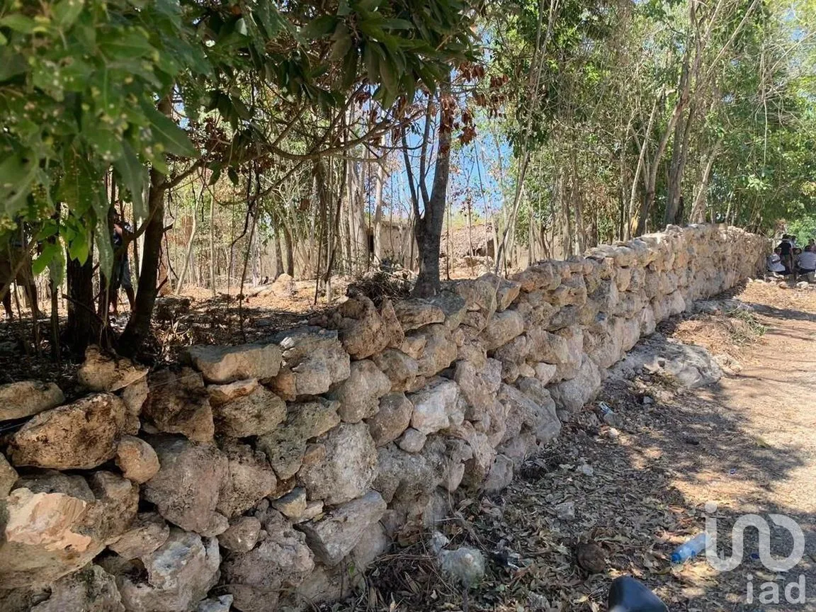 Terreno en Venta en Xocchel, Xocchel, Yucatán | NEX-270852 | iad México | Foto 11 de 16
