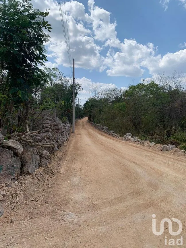 Terreno en Venta en Xocchel, Xocchel, Yucatán | NEX-270852 | iad México | Foto 4 de 16