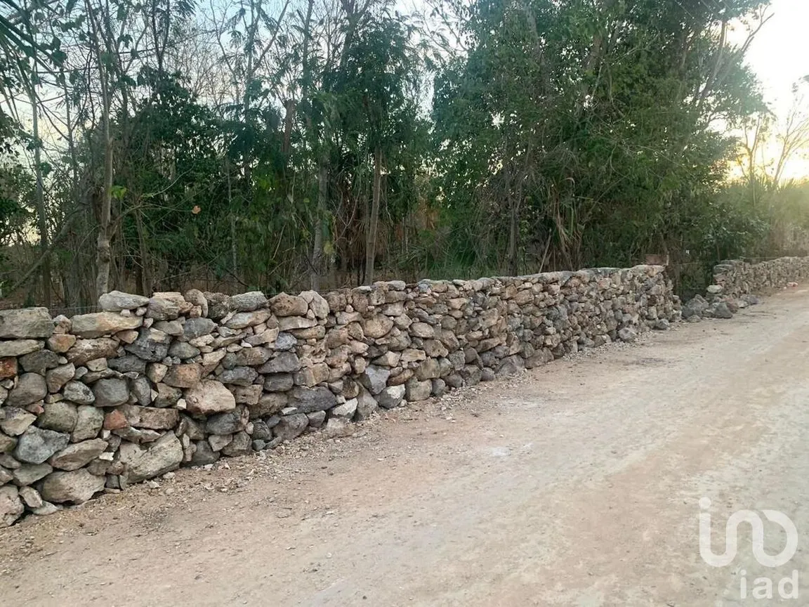 Terreno en Venta en Xocchel, Xocchel, Yucatán | NEX-270852 | iad México | Foto 5 de 16
