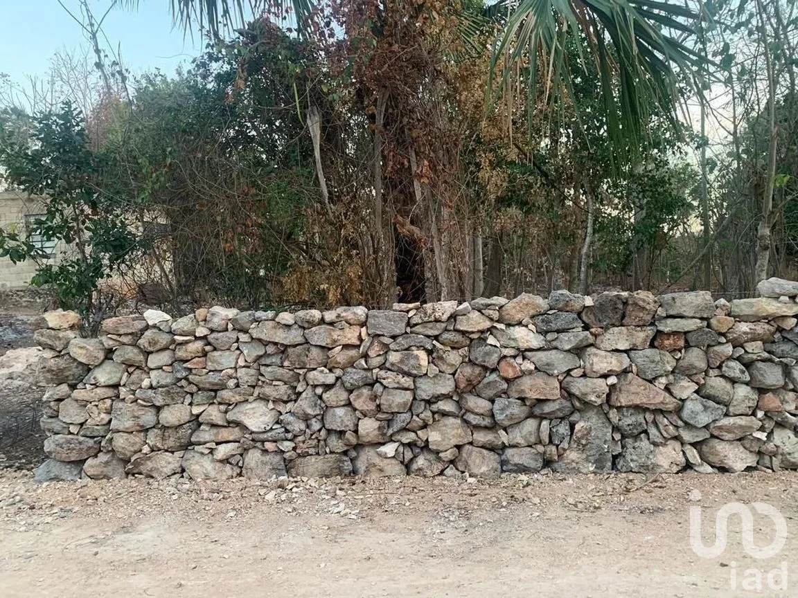 Terreno en Venta en Xocchel, Xocchel, Yucatán | NEX-270852 | iad México | Foto 6 de 16