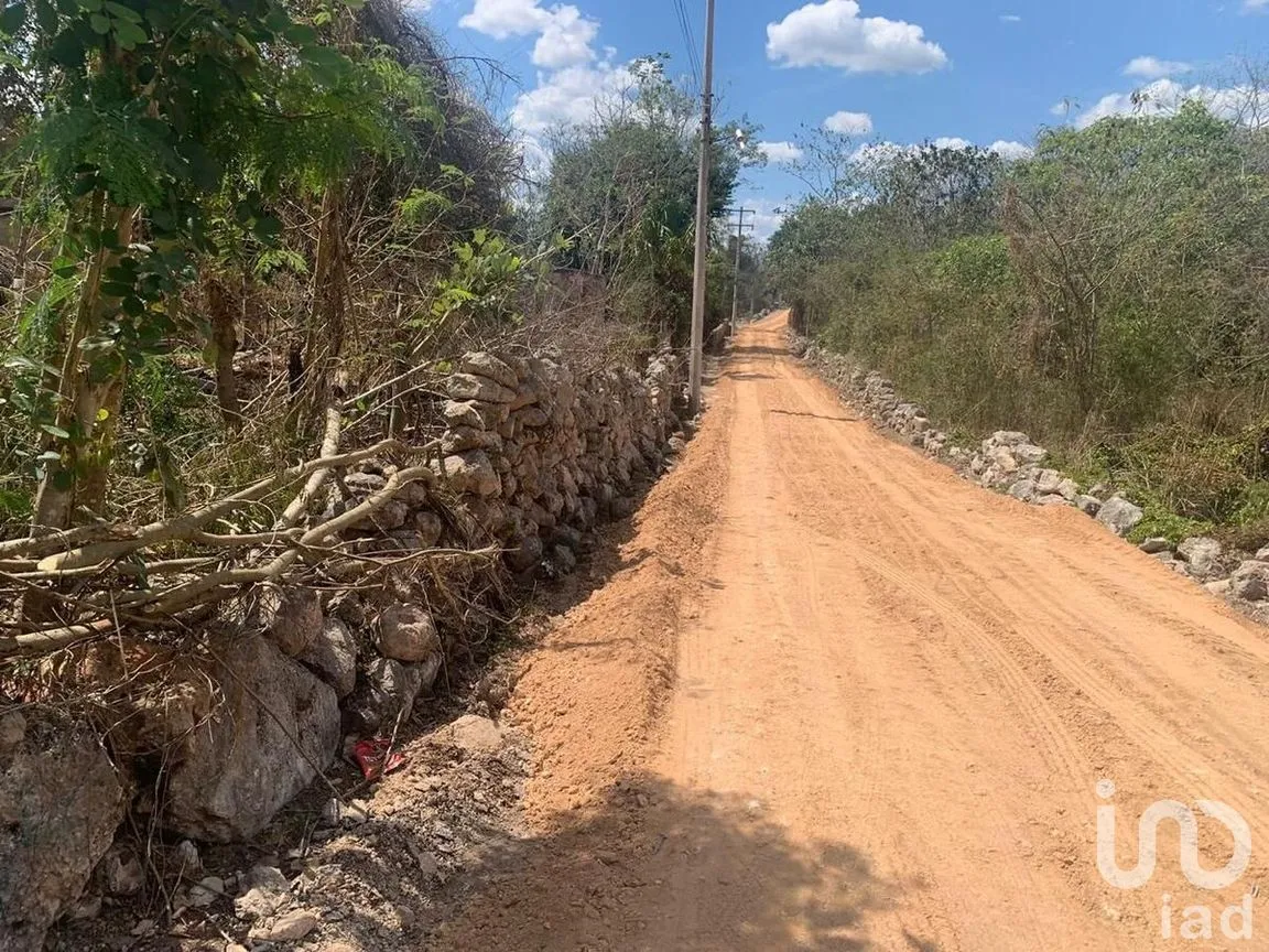 Terreno en Venta en Xocchel, Xocchel, Yucatán | NEX-270852 | iad México | Foto 7 de 16