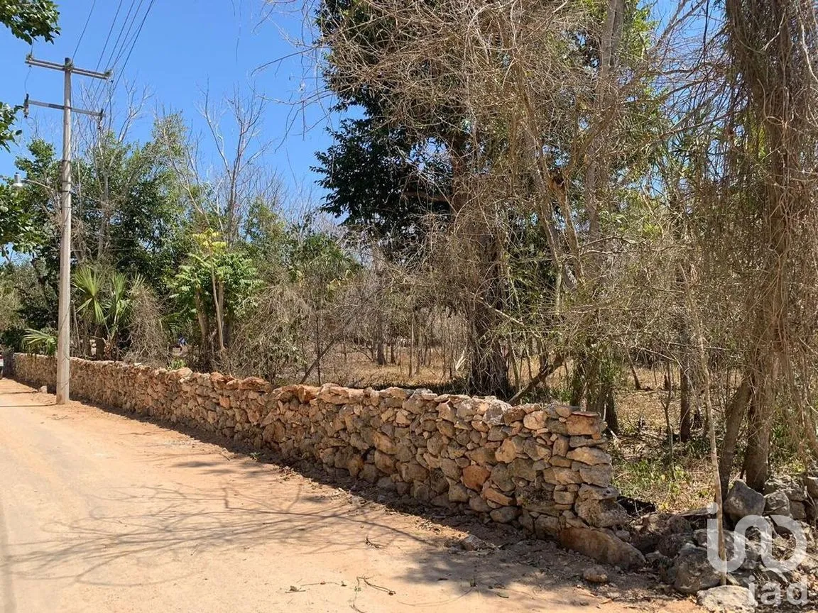 Terreno en Venta en Xocchel, Xocchel, Yucatán | NEX-270852 | iad México | Foto 8 de 16