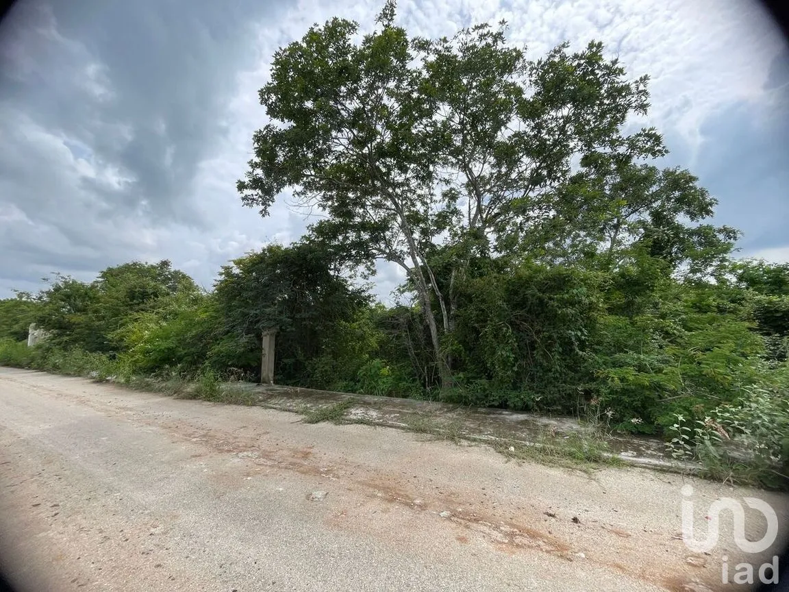 Terreno en Venta en Dzityá, Mérida, Yucatán | NEX-270858 | iad México | Foto 3 de 9