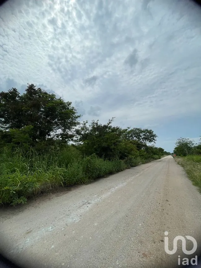 Terreno en Venta en Dzityá, Mérida, Yucatán | NEX-270858 | iad México | Foto 4 de 9