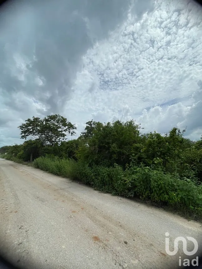 Terreno en Venta en Dzityá, Mérida, Yucatán | NEX-270858 | iad México | Foto 5 de 9