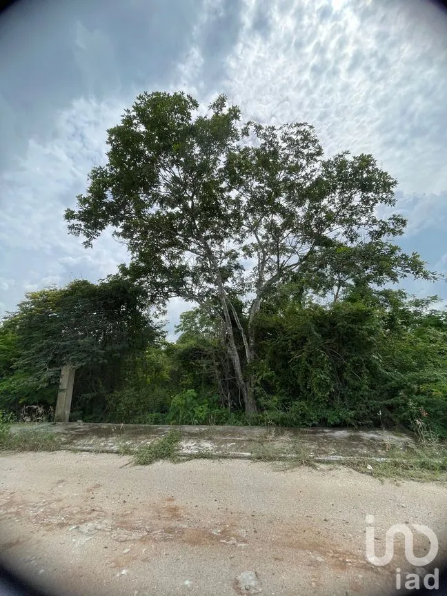 Terreno en Venta en Dzityá, Mérida, Yucatán | NEX-270858 | iad México | Foto 6 de 9