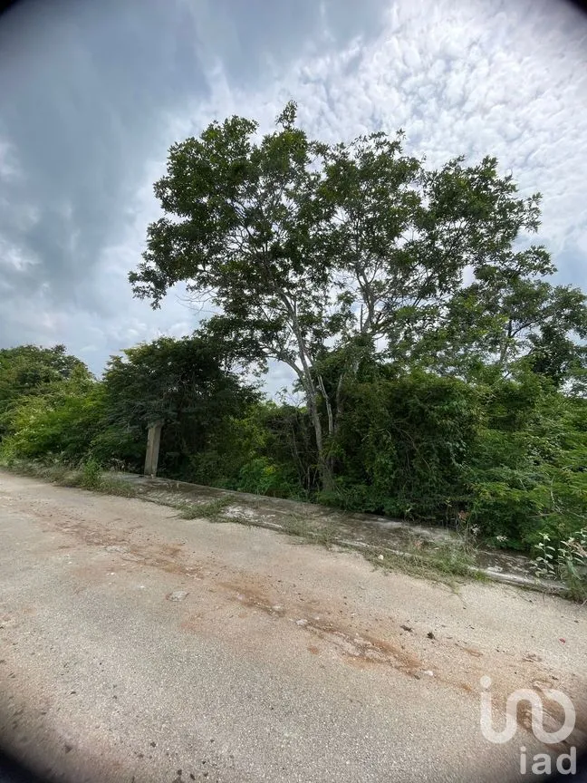 Terreno en Venta en Dzityá, Mérida, Yucatán | NEX-270858 | iad México | Foto 7 de 9