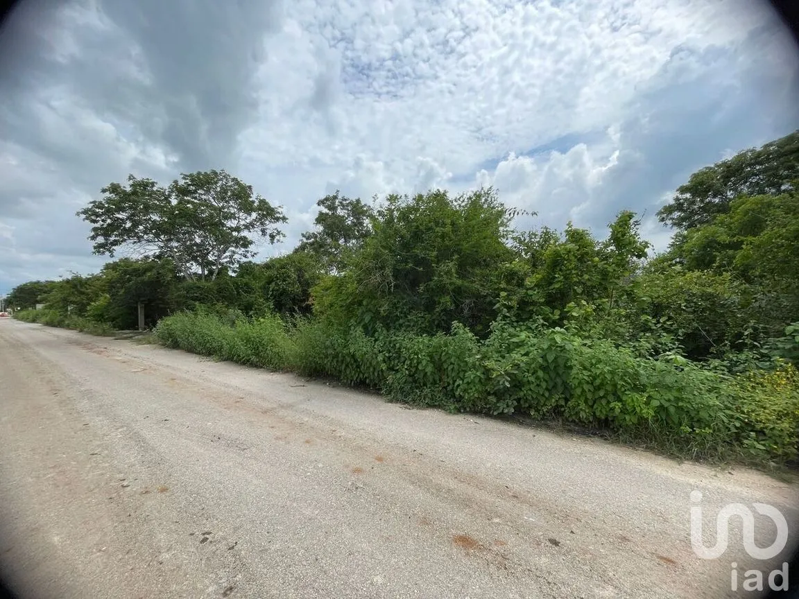 Terreno en Venta en Dzityá, Mérida, Yucatán | NEX-270858 | iad México | Foto 8 de 9