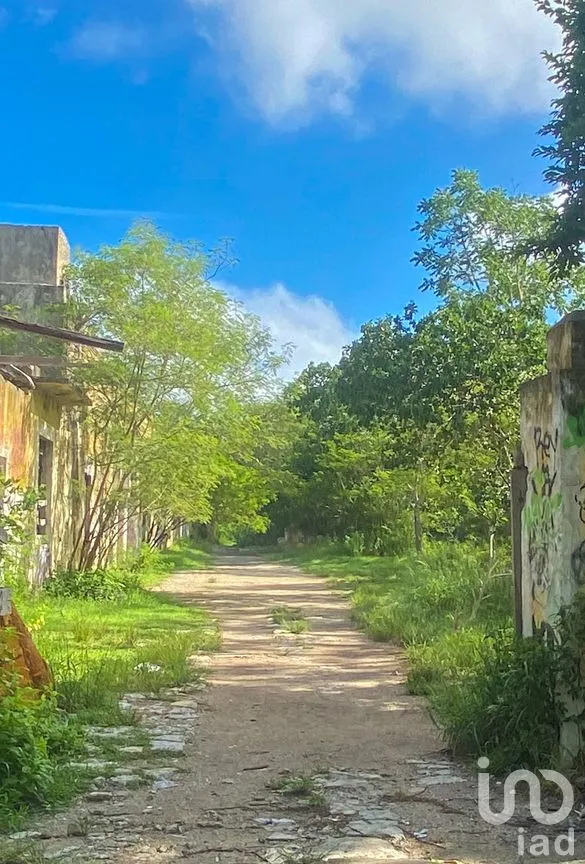 Terreno en Venta en Misnébalam, Mérida, Yucatán | NEX-270875 | iad México | Foto 5 de 15