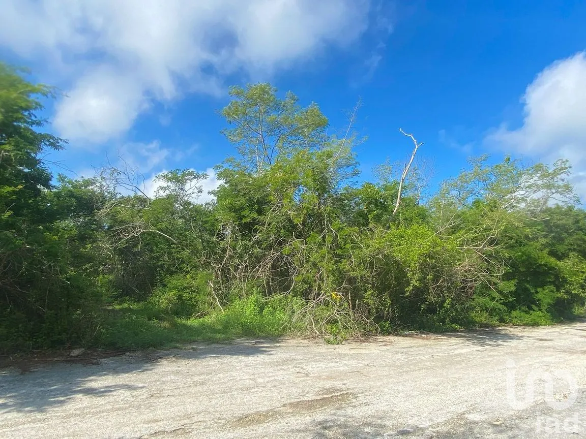 Terreno en Venta en Misnébalam, Mérida, Yucatán | NEX-270875 | iad México | Foto 8 de 15