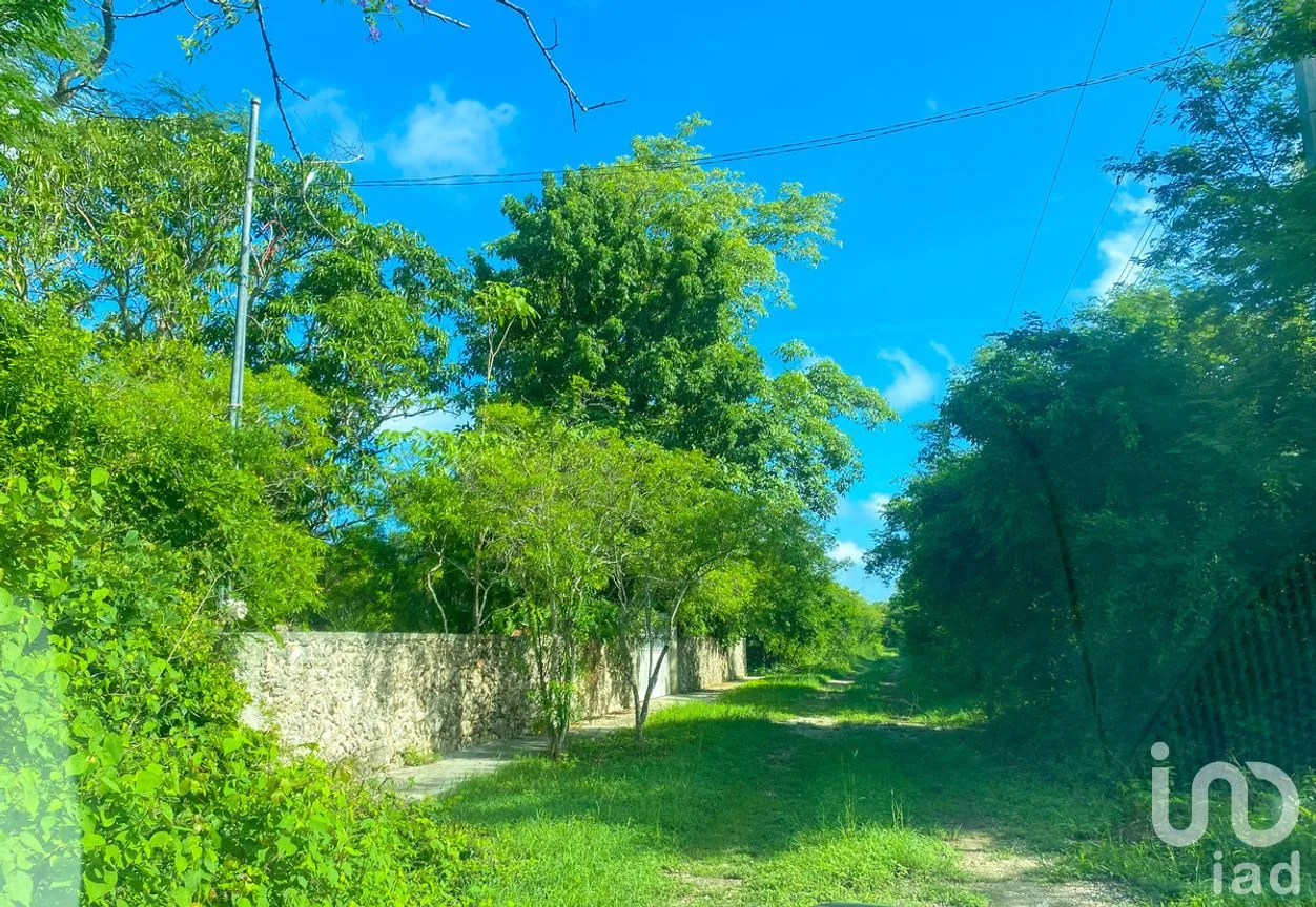 Terreno en Venta en Misnébalam, Mérida, Yucatán | NEX-270875 | iad México | Foto 10 de 15