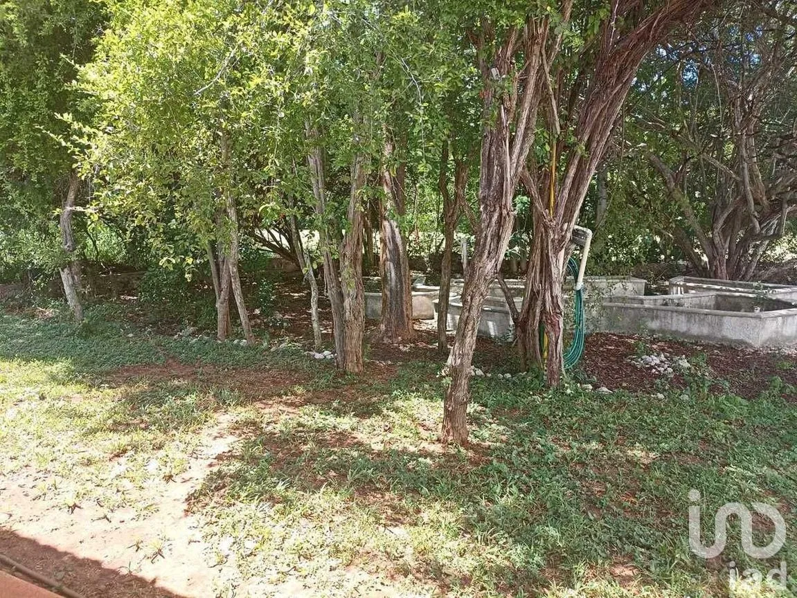 Casa en Venta en La Ceiba, Mérida, Yucatán | NEX-270905 | iad México | Foto 25 de 33