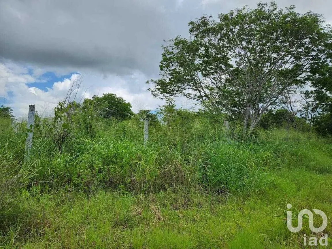 Terreno en Venta en Dzityá, Mérida, Yucatán | NEX-270930 | iad México | Foto 3 de 5