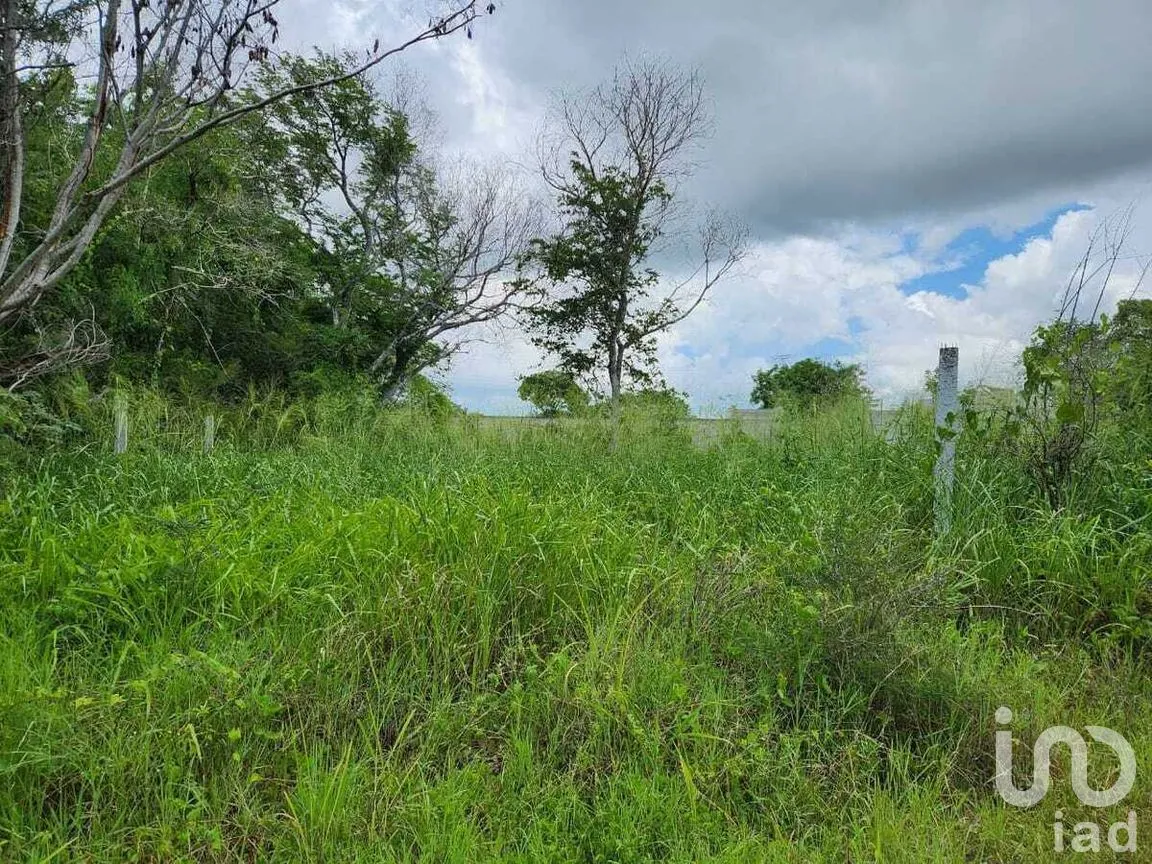 Terreno en Venta en Dzityá, Mérida, Yucatán | NEX-270930 | iad México | Foto 5 de 5