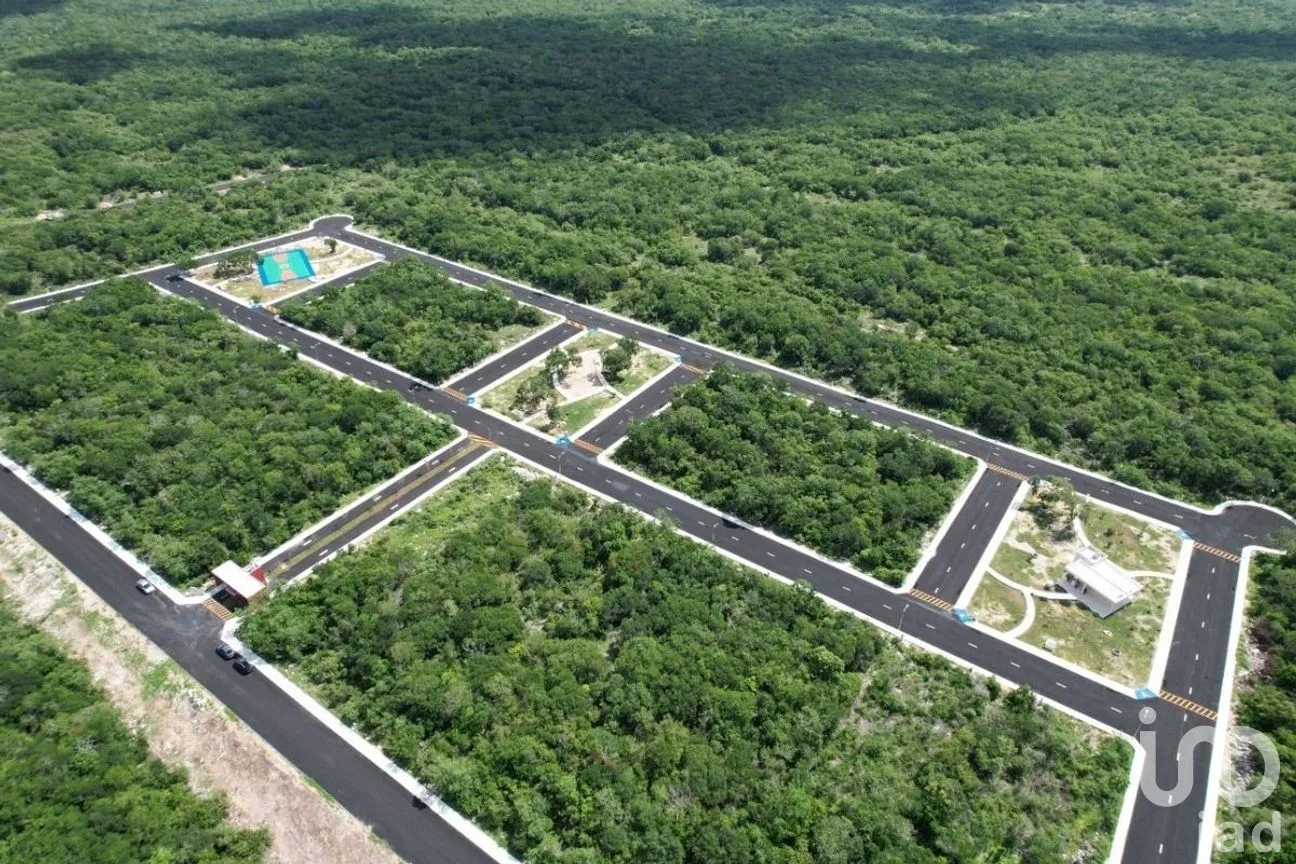 Terreno en Venta en Sierra Papacal, Mérida, Yucatán | NEX-270959 | iad México | Foto 3 de 11