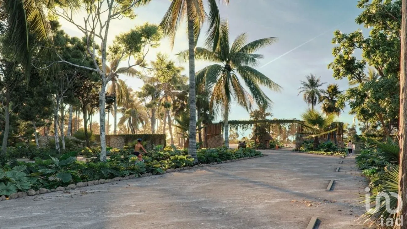 Terreno en Venta en Santa Clara, Dzidzantún, Yucatán | NEX-270986 | iad México | Foto 8 de 9