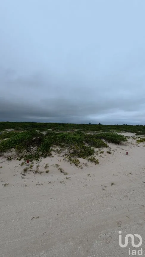 Terreno en Venta en Chuburna Puerto, Progreso, Yucatán | NEX-272118 | iad México | Foto 2 de 12