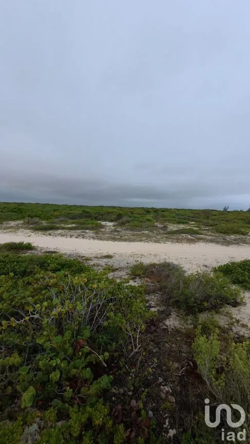 Terreno en Venta en Chuburna Puerto, Progreso, Yucatán | NEX-272118 | iad México | Foto 3 de 12