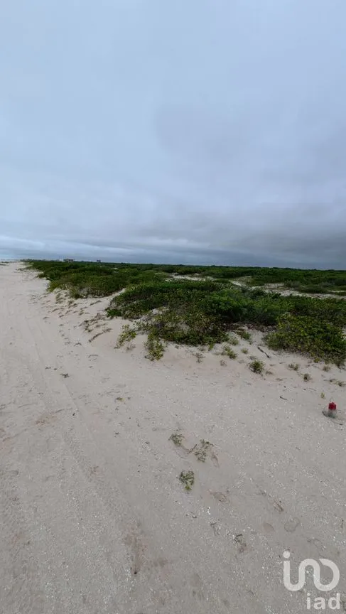 Terreno en Venta en Chuburna Puerto, Progreso, Yucatán | NEX-272118 | iad México | Foto 4 de 12