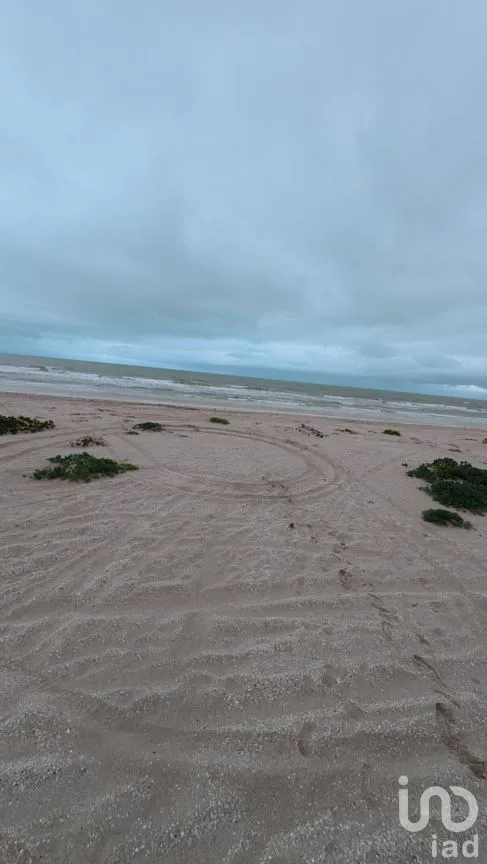 Terreno en Venta en Chuburna Puerto, Progreso, Yucatán | NEX-272118 | iad México | Foto 5 de 12