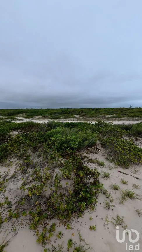 Terreno en Venta en Chuburna Puerto, Progreso, Yucatán | NEX-272118 | iad México | Foto 6 de 12