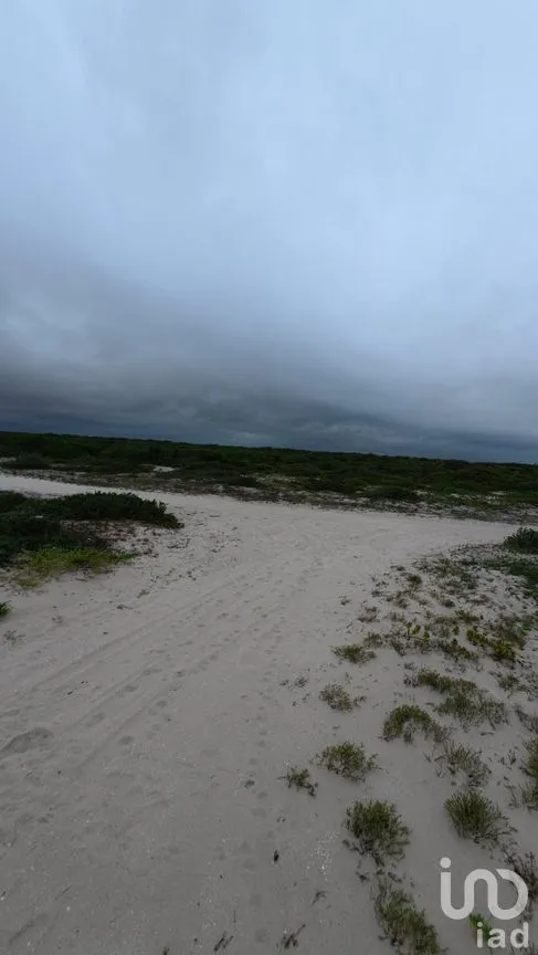 Terreno en Venta en Chuburna Puerto, Progreso, Yucatán | NEX-272118 | iad México | Foto 7 de 12