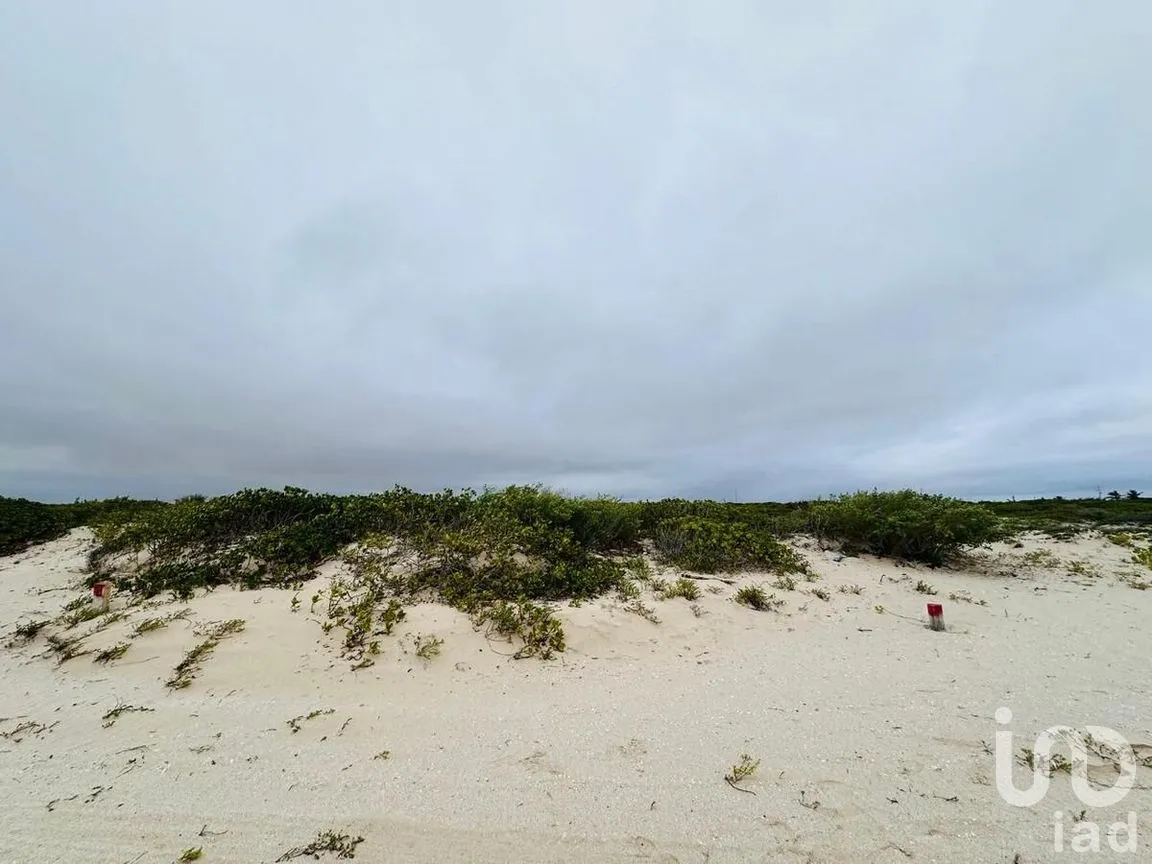 Terreno en Venta en Chuburna Puerto, Progreso, Yucatán | NEX-272118 | iad México | Foto 8 de 12