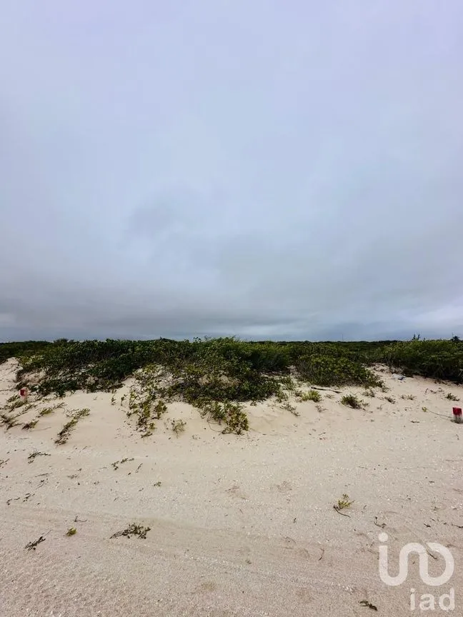 Terreno en Venta en Chuburna Puerto, Progreso, Yucatán | NEX-272118 | iad México | Foto 9 de 12