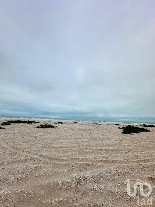 Terreno en Venta en Chuburna Puerto, Progreso, Yucatán | NEX-272118 | iad México | Foto 10 de 12
