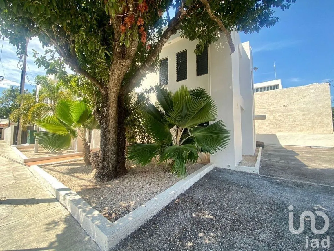 Oficina en Renta en Colonial Buenavista, Mérida, Yucatán | NEX-273741 | iad México | Foto 2 de 12