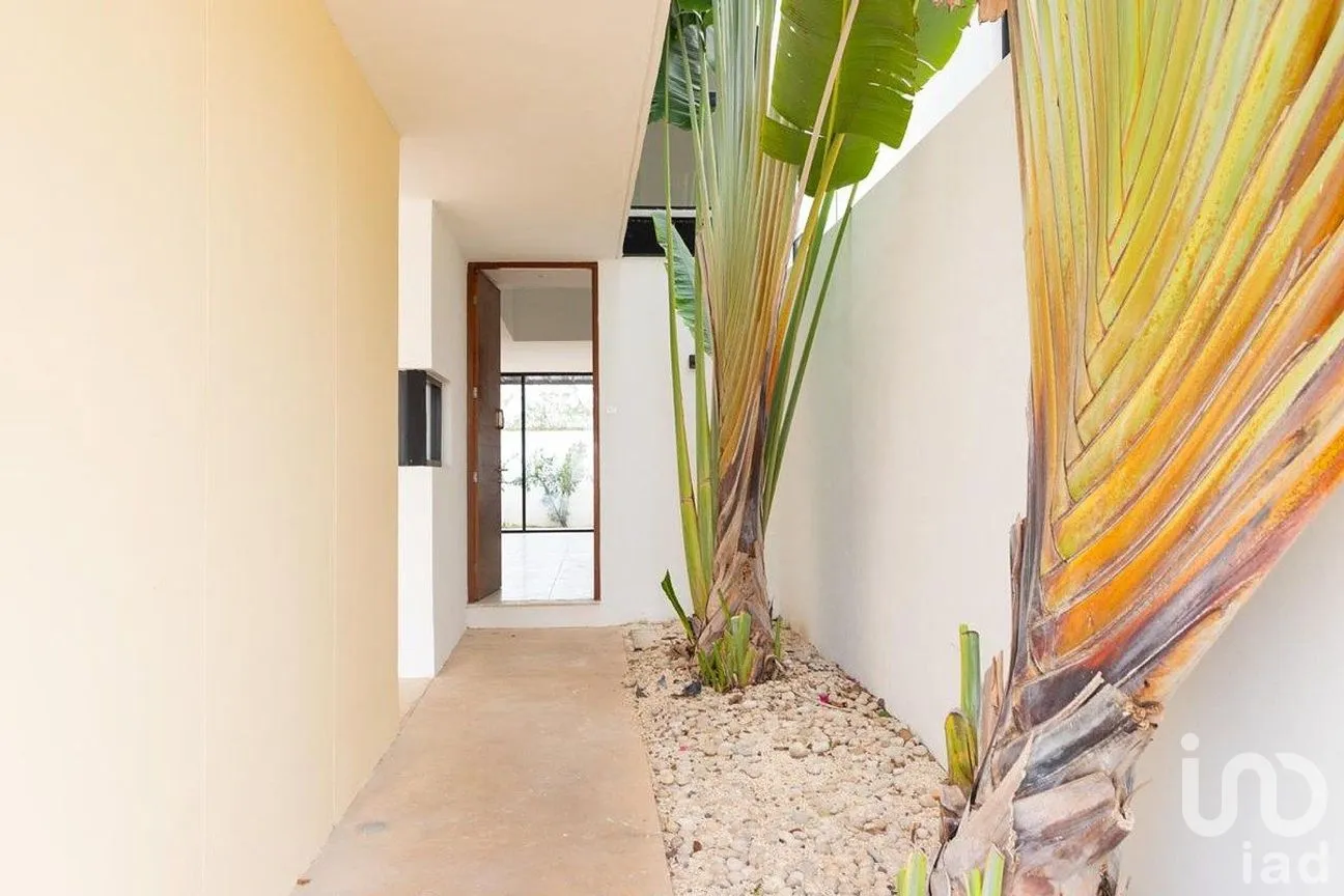 Casa en Venta en Cholul, Mérida, Yucatán | NEX-289146 | iad México | Foto 3 de 20