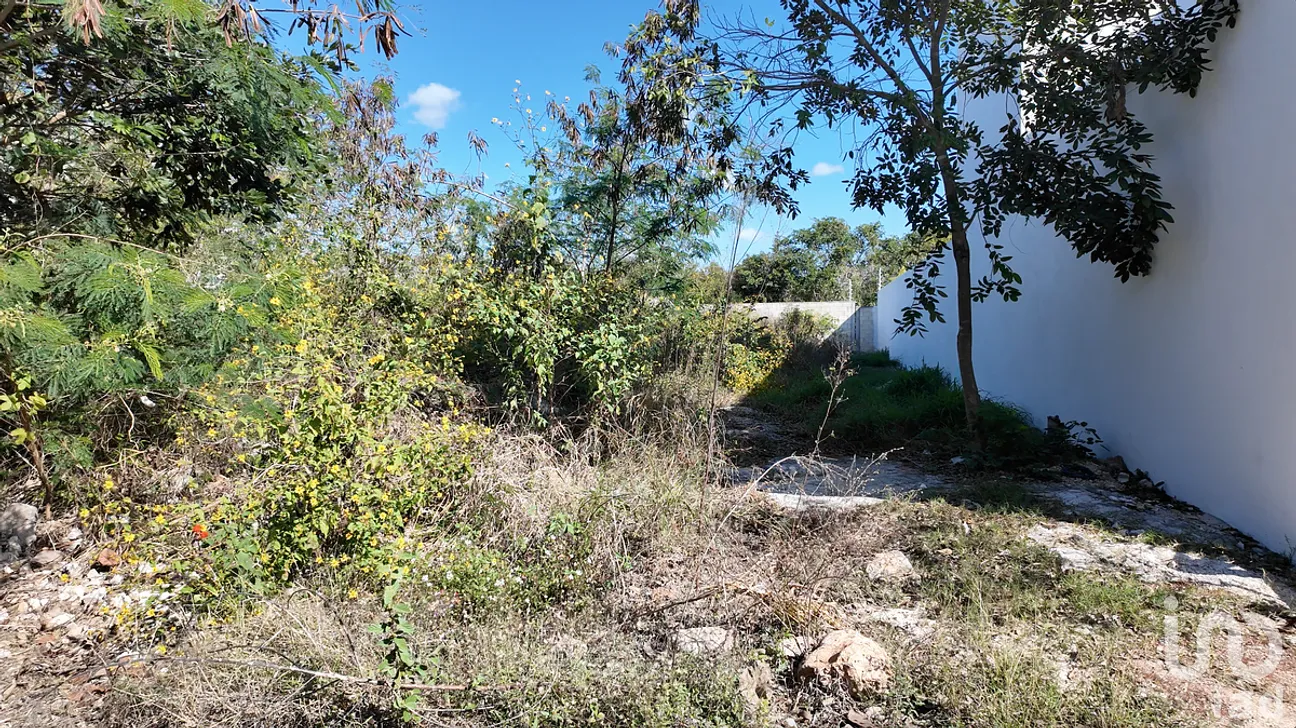 Terreno en Venta en Cholul, Mérida, Yucatán | NEX-291416 | iad México | Foto 5 de 8