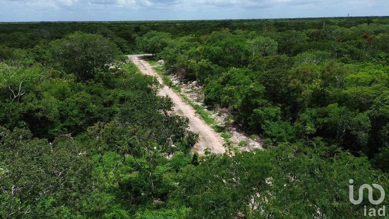 Terreno en Venta en Dzidzilché, Mérida, Yucatán | NEX-291428 | iad México | Foto 3 de 10