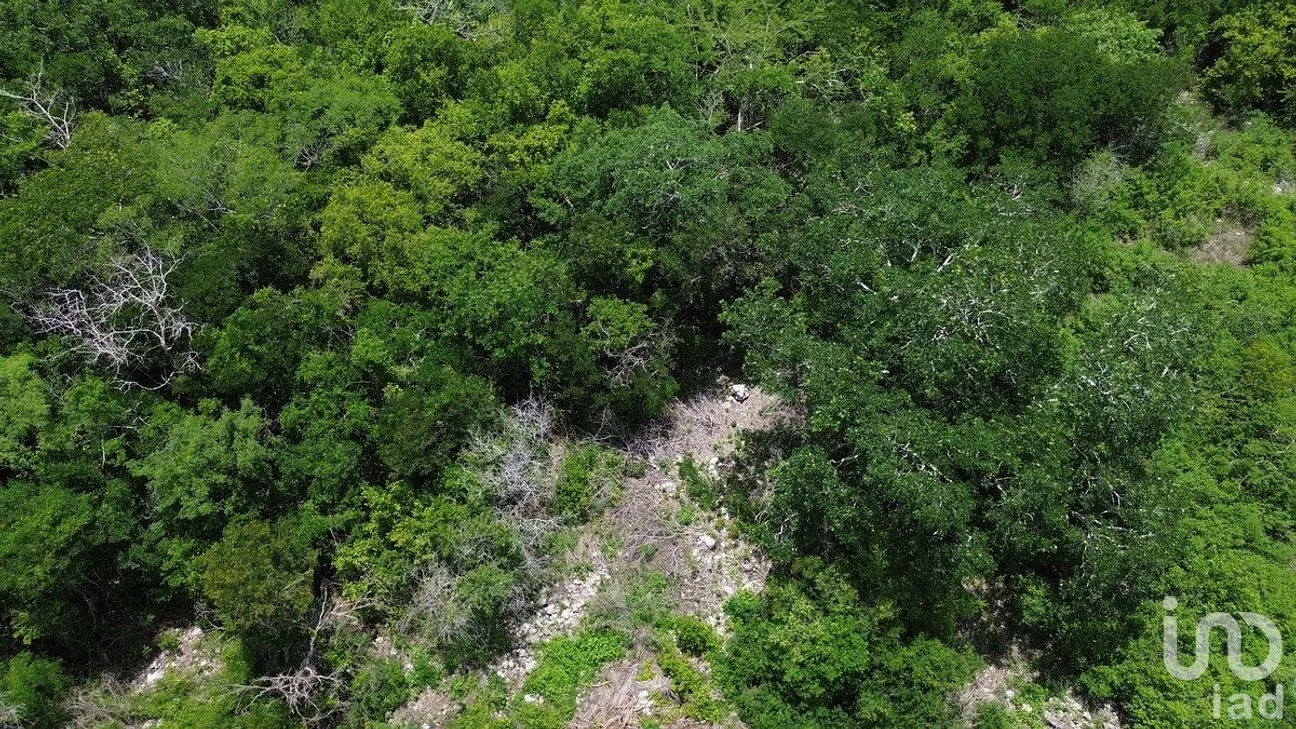 Terreno en Venta en Dzidzilché, Mérida, Yucatán | NEX-291428 | iad México | Foto 7 de 10